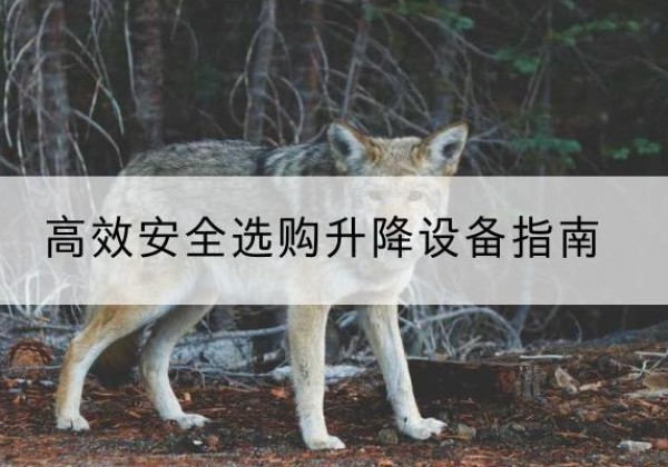 华蓥升降货梯厂家推荐-*安全选购升降设备指南