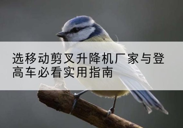 华蓥电动升降机厂家-选移动剪叉升降机厂家与登高车必看实用指南